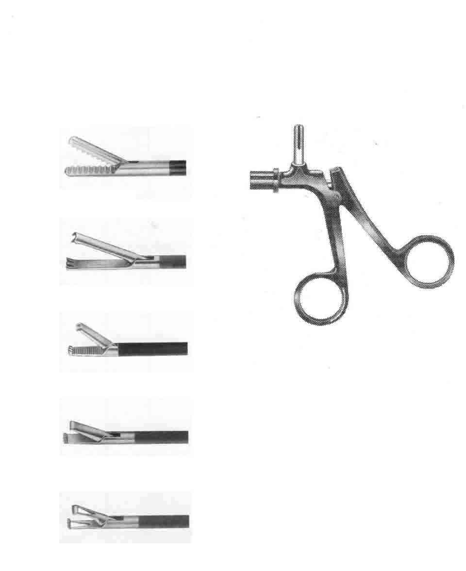 KISKAÇ AĞIZLI FORSEPS ÇAP  5 MM